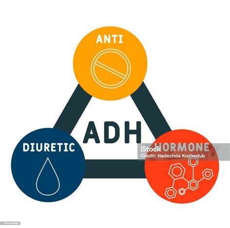 Adh Akronim Hormon Antidiuretik Ilustrasi Stok Unduh Gambar Sekarang