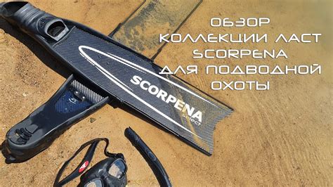 Подбор ласт для подводной охоты от SCORPENA - YouTube
