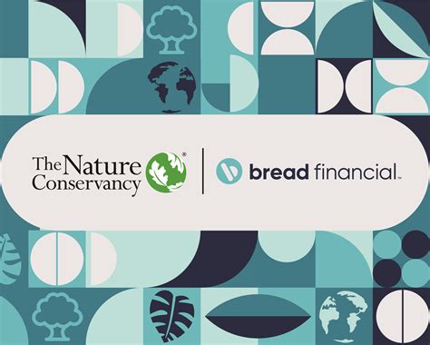 Comenity Credit Cards