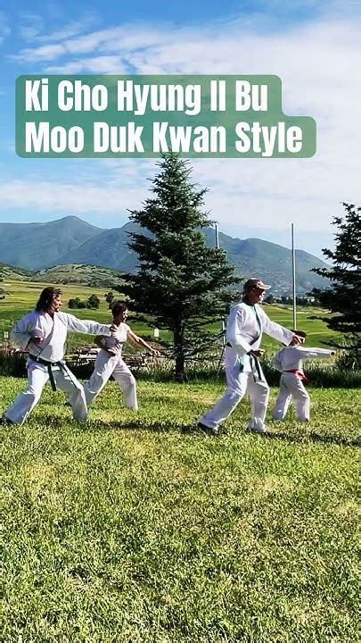 Ki Cho Hyung Il Bu First Form In Tang Soo Do And Soo Bahk Do