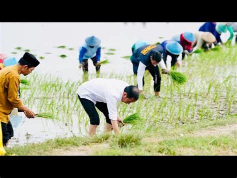 Presiden Jokowi Tanam Padi Bersama Petani Tuban April Youtube