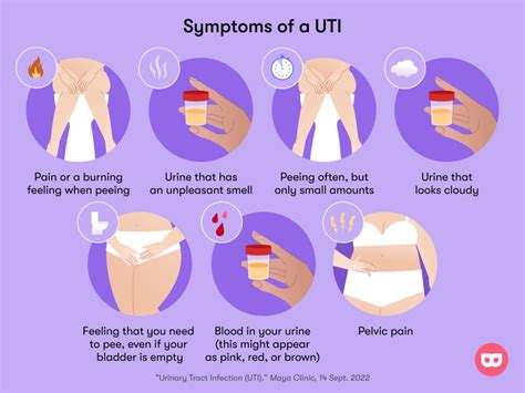 bladder conditions griffith urology melbourne