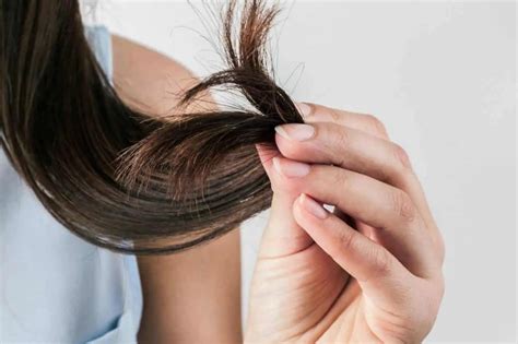 18 Dicas para melhorar aparência do cabelo Blog Donna Hair