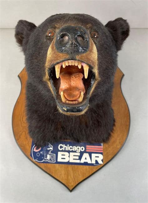 Taxidermy Black Bear Head Mount Auction