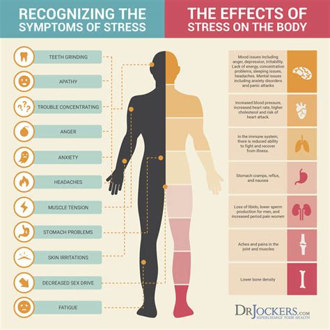 10 Tips to Boost DHEA levels For Healthy Skin and Hormones