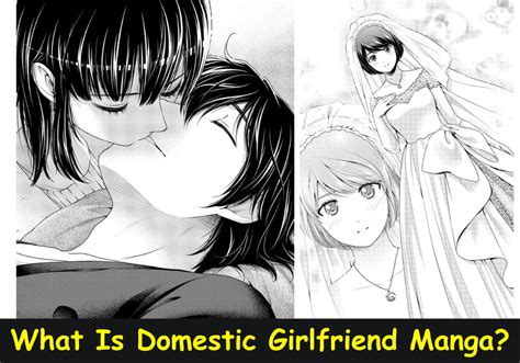 What Is Domestic Girlfriend Manga?