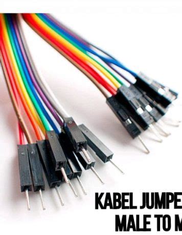 Kabel Jumper Cm Dupont Cm Male To Male Pelangi Lembar Indomaker