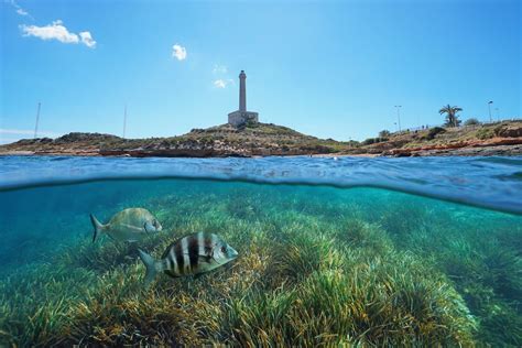 Diving In Cabo De Palos Spain A Growing Scuba Destination