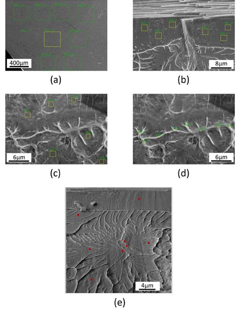 EDX Analyses Of The Fracture Surface Of The Porous Pt BMG Taken From