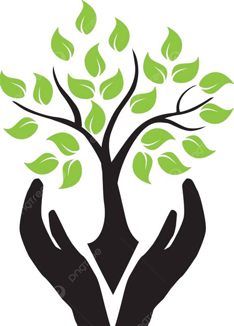 Manos Sosteniendo árbol Eco Espera Conservación Vector Png Dibujos