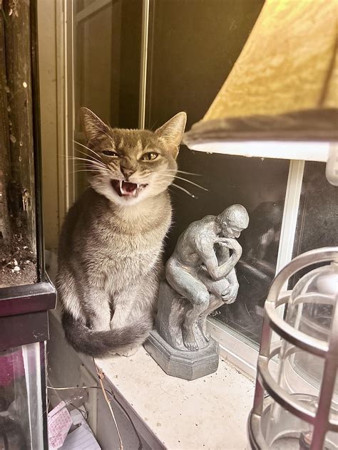 i meant to take picture of her yawning but instead i caught her doing