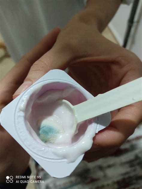 A101den Aldığımız Danone Yoğurt Küflü Çıktı Şikayetvar
