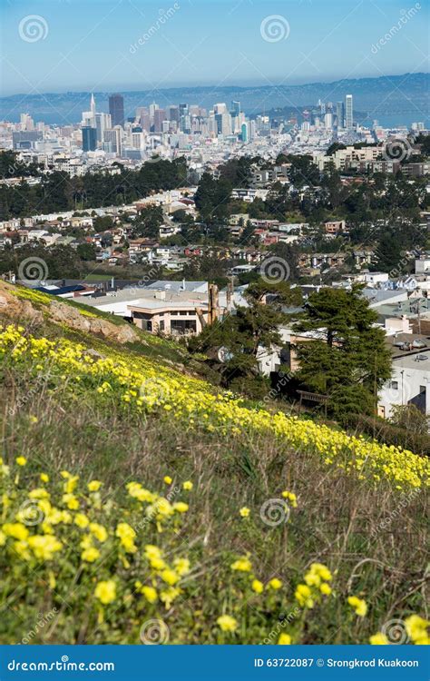 街市弗朗西斯科・圣 库存图片 图片 包括有 蓝色 通风 全景 区域 拱道 城市 风景 没人 63722087