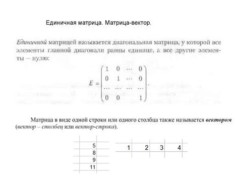 Матрицы и действия с ними презентация онлайн