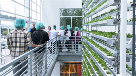 These buildings combine affordable housing and vertical farming