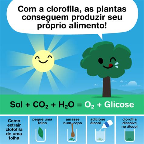 Um Dos Elementos Fundamentais Para As Plantas Produzirem Seu Alimento
