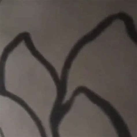 Paki Gf First Time Free Xnxc Hd Porn Video C Xhamster Xhamster