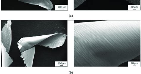 SEM Micrographs Showing The Morphology Of Chips During The Milling