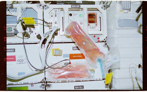 На заседании Евросовета министры 13 стран воспротивились мясу из ...