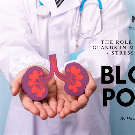 Why having a balanced lifestyle is important. - Hayley Austin 