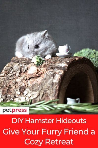 Diy Hamster Hideouts Give Your Furry Friend A Cozy Retreat