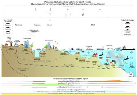 Southeast Florida coast integrated conceptual ecosystem... | Download Scientific Diagram