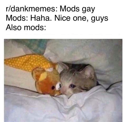 Mods Gay R Dankmemes Mods Are Gay Know Your Meme