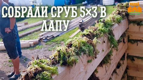 Собрали сруб 5×3 в лапу (полулафет)/ Срубы бань и домов - YouTube