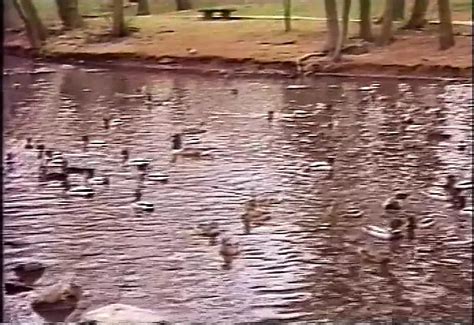 Secretaresse Maakt Overuren Met Een Dikke Dildo In Het Poesje Van De Baas XHamster