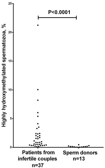 Genome Wide 5 Hydroxymethylcytosine Patterns In Human Spermatogenesis