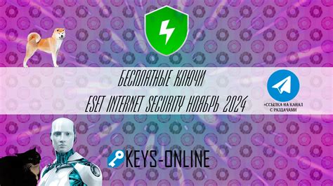 Бесплатные ключи для ESET Internet security Ноябрь 2024 – Keys-online.ru