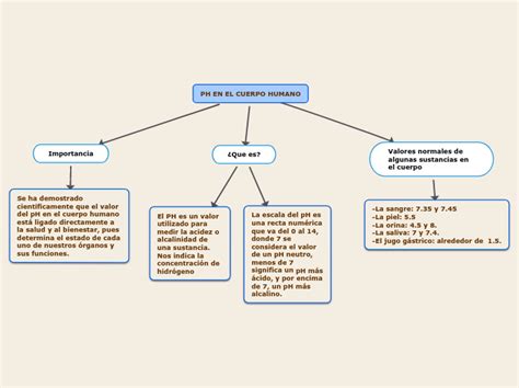 Ph En El Cuerpo Humano Mind Map