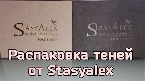 StasyAlex Распаковка Новых Огромных Палеток Теней 🤩🤩🤩 - YouTube