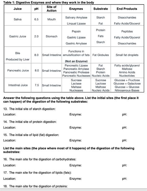 Solved Table 1: Digestive Enzymes and where they work in the | Chegg.com