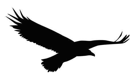 eagle flying silhouette 5407688 Vector Art at Vecteezy