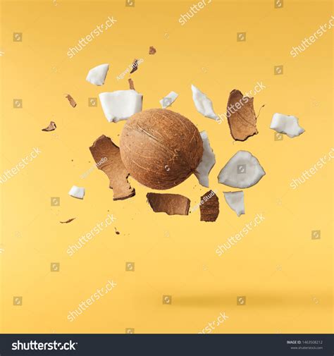30622 Half Coconut Shell Images Stock Photos And Vectors Shutterstock