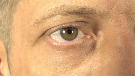 Porno Auf Portugiesisch Sex Videos Featuring Portugiesisch Audio Xhamster