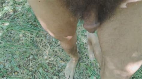 Walking C Naked In The Woods Salvatrix C Clips Sale