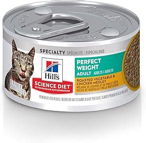 The Best Canned Cat Foods In Bestforpets Org