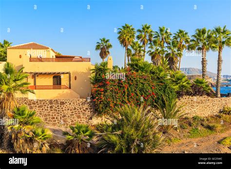 Typical Canarian House With Palm Trees In Costa Adeje Town Tenerife