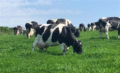 Australia Proposed To Revise The Maximum Residue Limits For