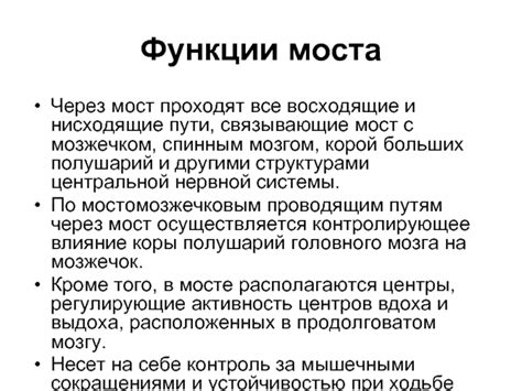 Анатомия и физиология ствола мозга, промежуточного мозга