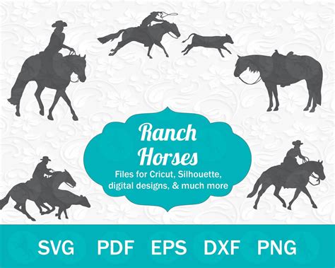 Roping Horse Trail Riding Horses Cowhorse Ranch Riding Western