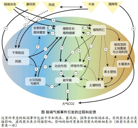 科学网—气候变化中的极端气候事件对生态系统碳循环的影响 赵斌的博文