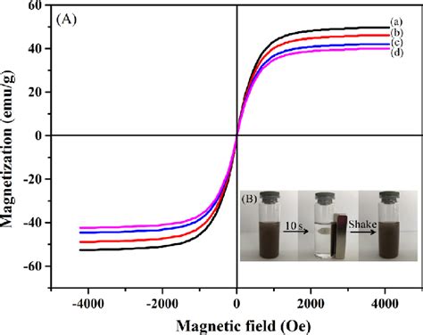 (A) Hysteresis loops of Fe 3 O 4 (a), Fe 3 O 4 @SiO 2 (b), CBDMMIPs ...