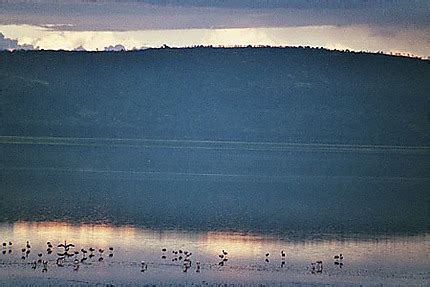 TOP 50 Des Meilleures Photos De Voyage Lac Et Parc National De Nakuru