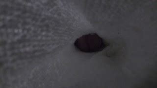 K Biker S Gay Porn Videos Pornhub