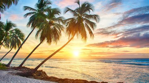 Tropical Sunrise Wallpapers - Top Free Tropical Sunrise Backgrounds ...