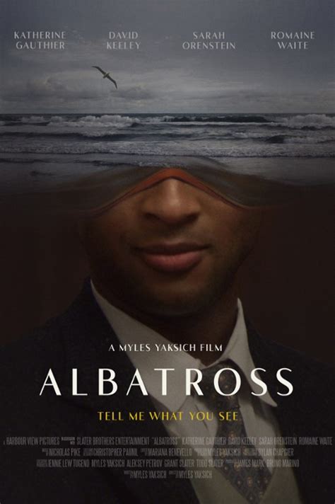 Zwiastun Trailer Wideo Albatross 2022 Filmweb