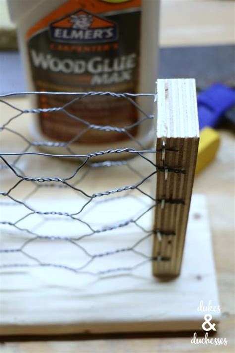 How To Make A Suet Feeder With Chicken Wire Suet Bird Feeder Suet